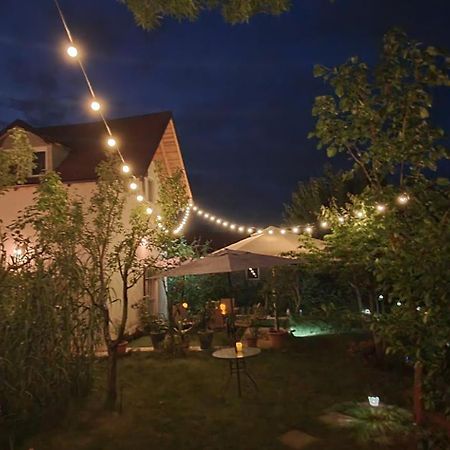 Forest Inn Izvorani Buitenkant foto