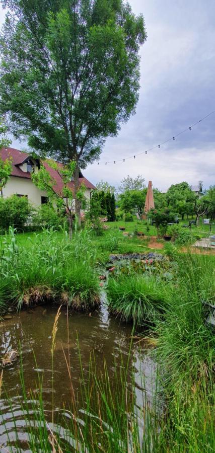 Forest Inn Izvorani Buitenkant foto